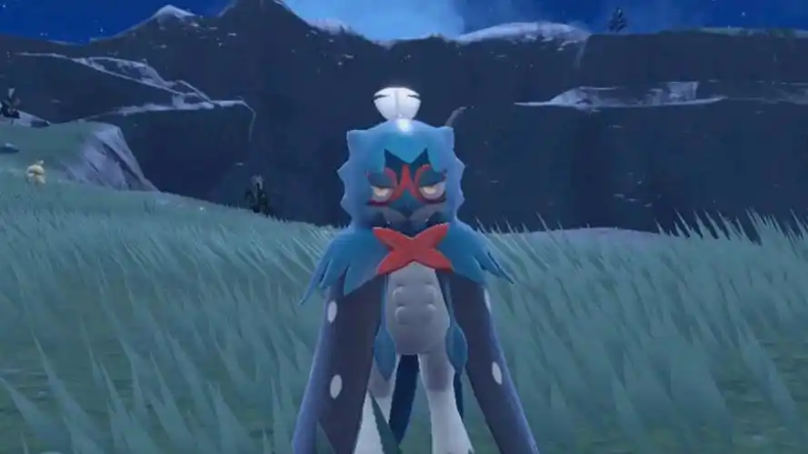 对不起,我错了,我再也不会尝试让木木枭进化了