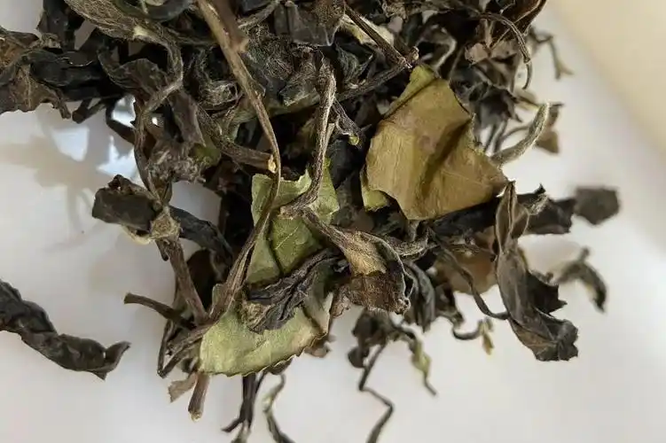 2015年春贡眉叶底墨绿色,火攻不均偏高茶汤青豆味,青臭味,青麻青涩干