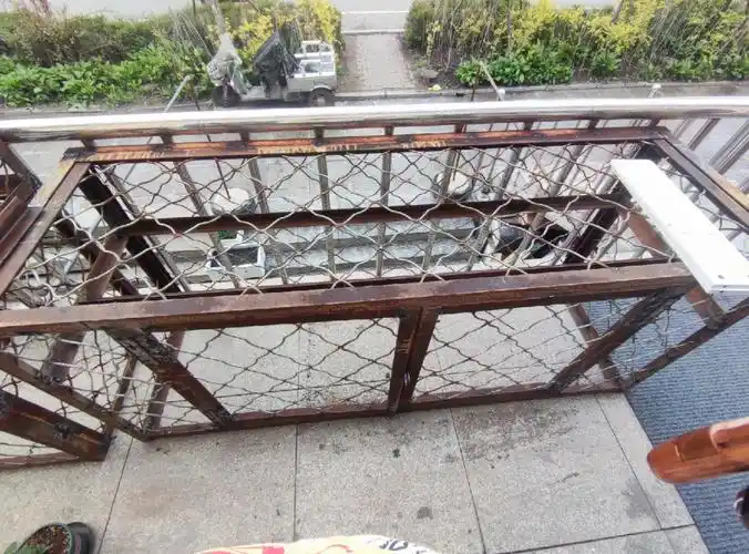 我公公今天带了两个同事,用旧栅栏焊了一个花架子来安放我的花花草草