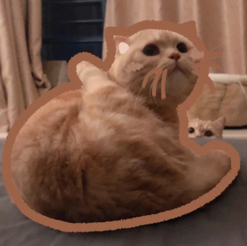 可爱头像/萌宠头像/动物头像/猫猫头像 橘猫sally