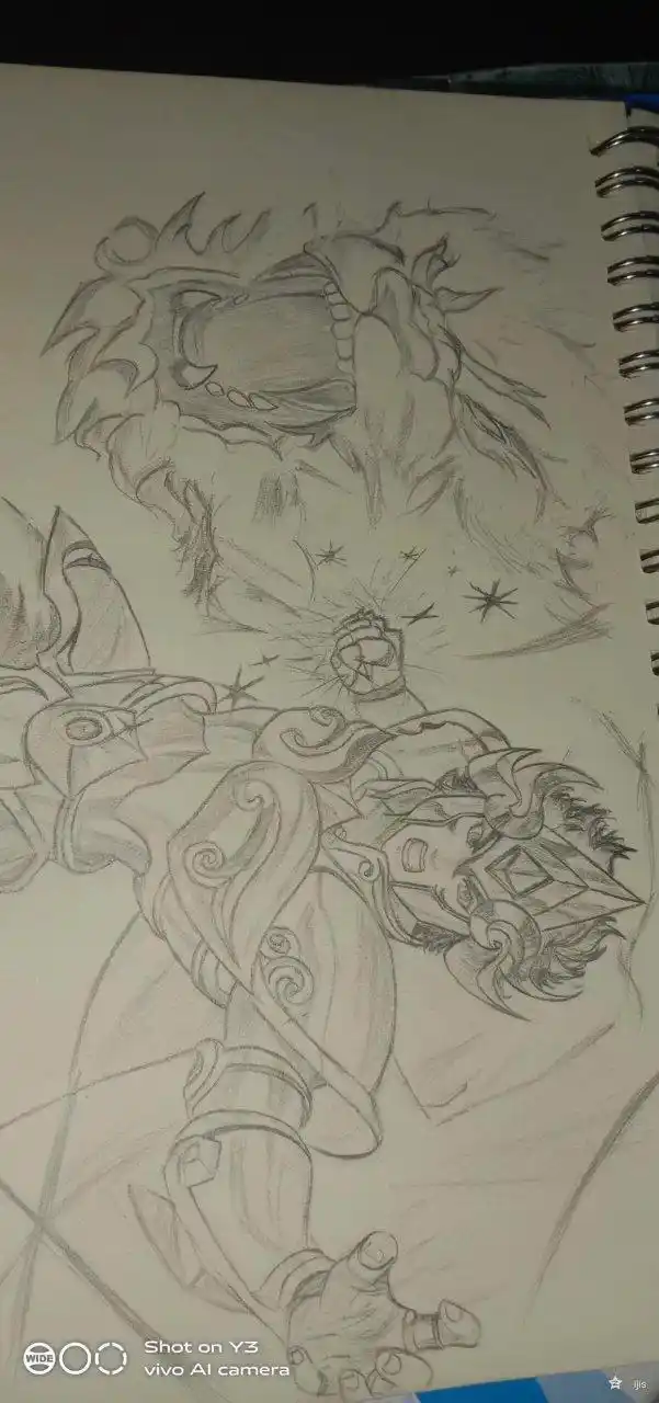 这位王者荣耀爱好者还是一名最强王者段位的玩家,不是女孩子,是您生