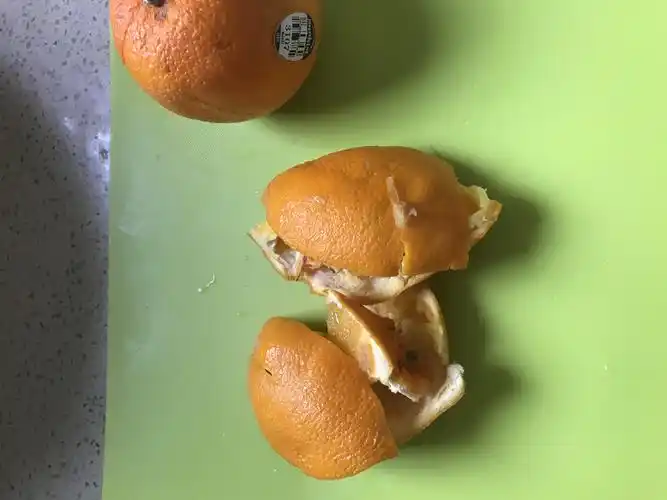 垃圾分类从我做起