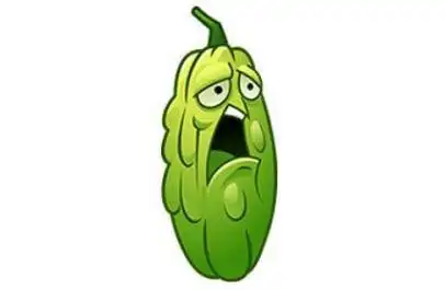 夏季消暑,怎么能少了健康的苦瓜?