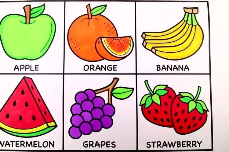 各种水果的简笔画 各种水果的简笔画图片