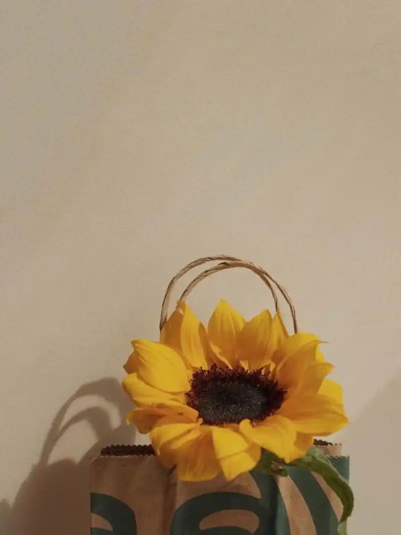 微信壁纸‖背景图‖小清新 #小清新壁纸# #微信背景图# #每日壁纸