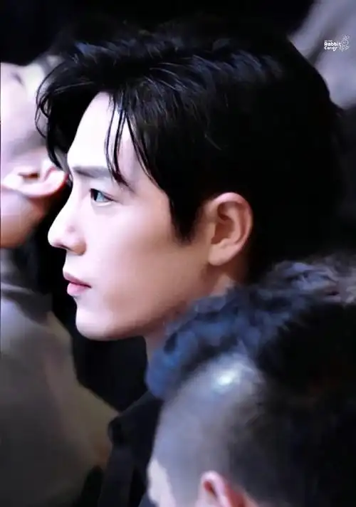 尖叫之夜直播##肖战