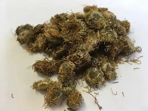 旋覆花的药理作用