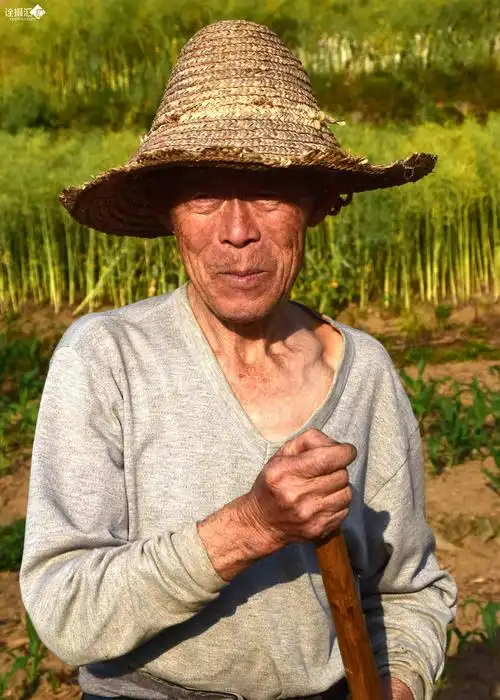 老农民