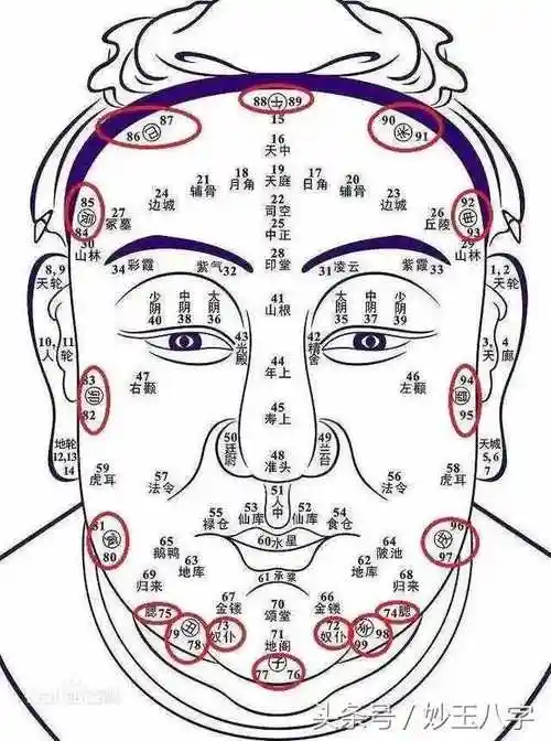 看面相,相由心生,每个人的面相都会有不同的特点,当然每个人的命运