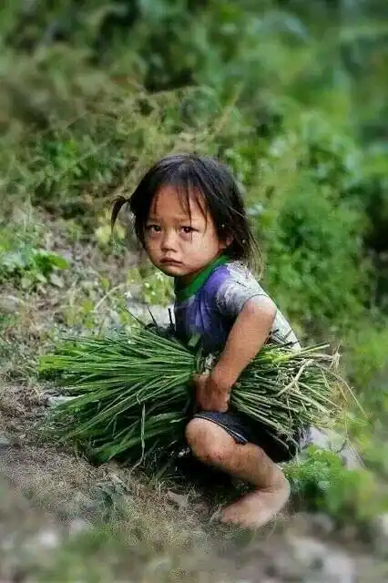 穷苦人家的娃,农村的孩子早当家