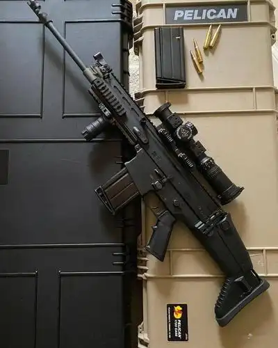 沉稳憨厚的体态fn公司scar17步枪美图欣赏