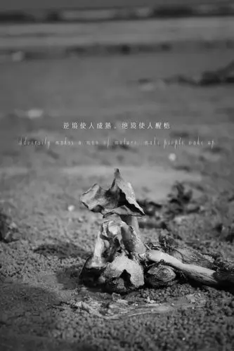 人生必须要面对残酷的事实才会使人成熟!当你身处才绝境中你才会醒悟!