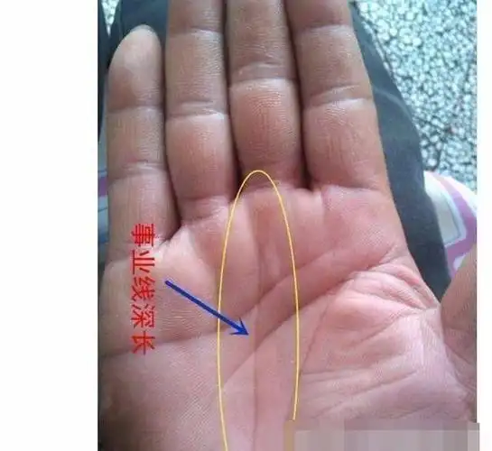 2,豪宅纹位于无名指的下方,在天纹线的上方,又称金房子.