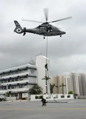 香港飞虎队成立40周年警队刊物罕见公布照片4