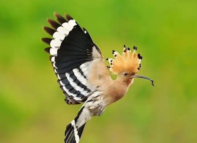 今日谷雨萍水相逢雨生百谷