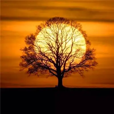 最好看的风景头像