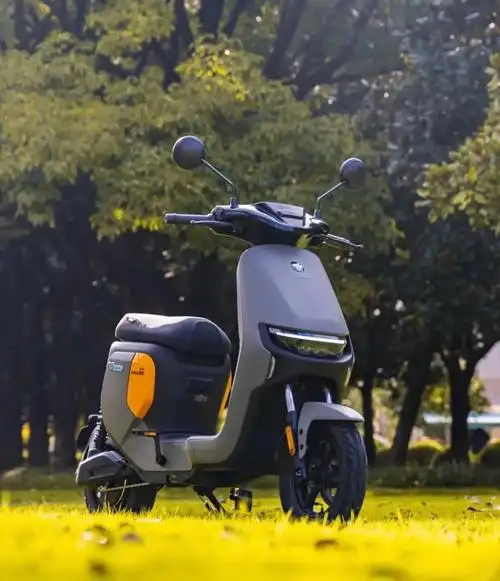 九号f30c/fmix.梦中情车!一款又有颜值又能装的电动车 - 抖音