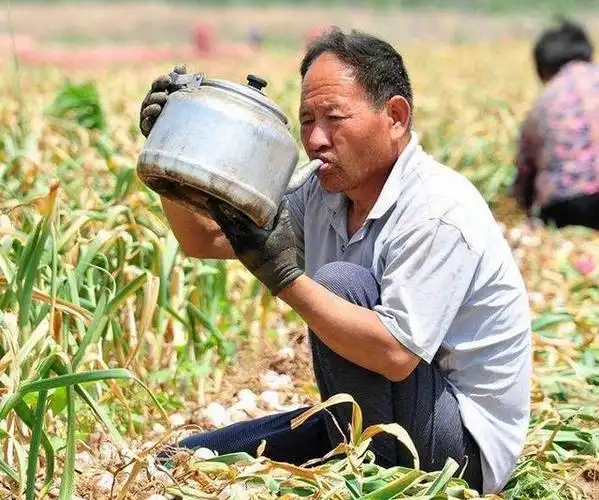 农民操碎了心,到头来却连种地的本钱也收不回来,谁还愿意种地呢?