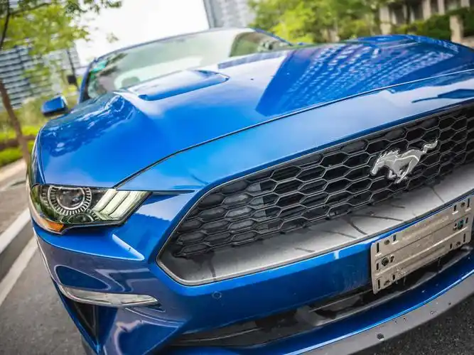 杭州2019年2月福特野马23t美规蓝色手动挡