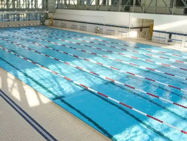 50米标准游泳池需要投资多少,游泳馆运营的几大要素!