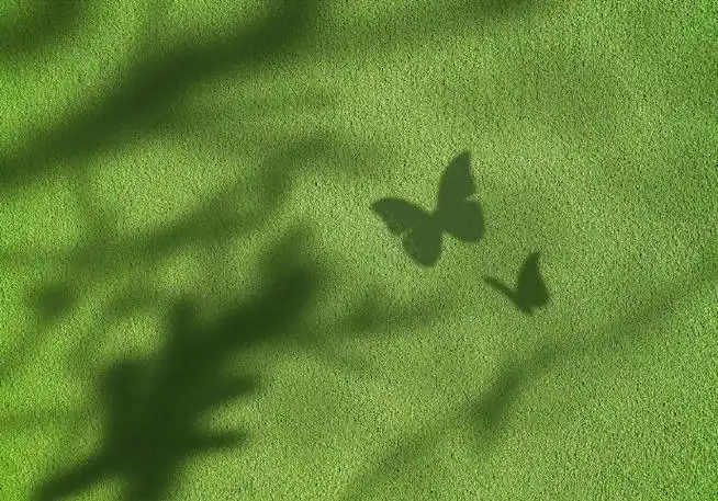 树影婆娑 蝶影重重  高级氛围感蝴蝶 ipad电脑壁纸  绿色护眼  #春天