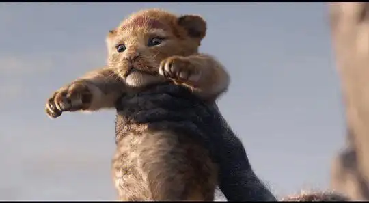 洗脑神曲之哈库呐玛塔塔