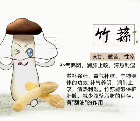 减肥的季节到了67竹荪该安排上了