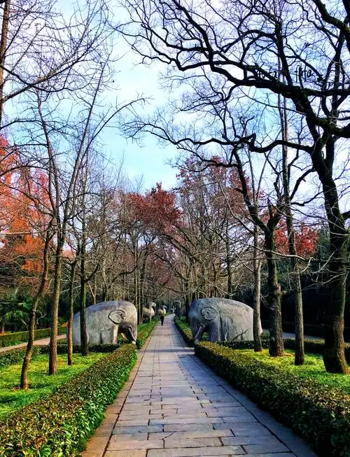 99钟山风景名胜区游玩全攻略95 92 钟山风景名胜区,南京的瑰宝