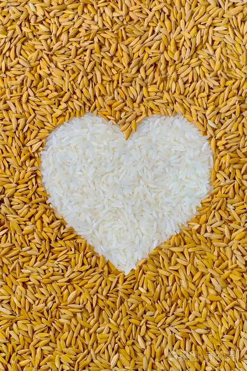 心形或稻情标志的天然稻米粒桩