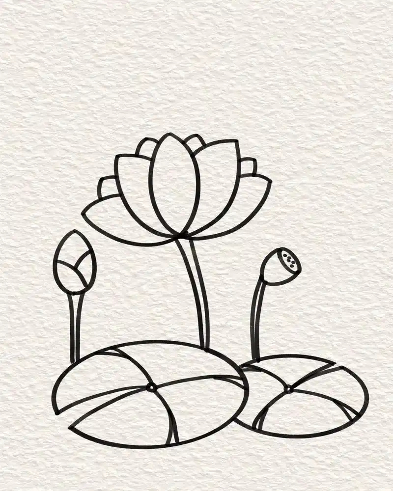 简笔画荷花教程来啦,赶快学起来#简笔画 #一起学画画 #一学 - 抖音