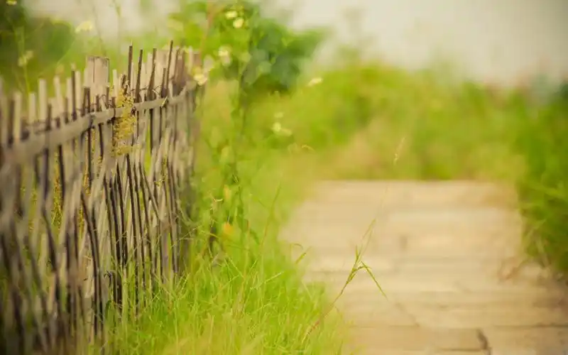 小清新唯美田园风光高清桌面壁纸