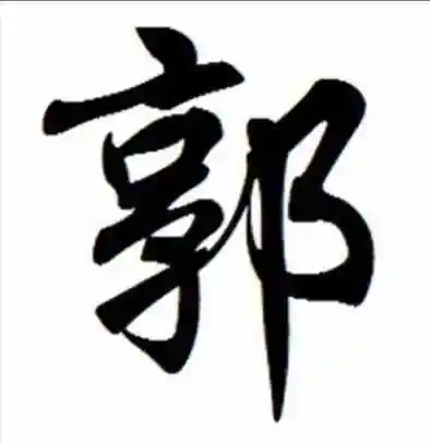 郭 读音ɡuō部首阝 笔画数 10 五笔 ybbh参考:廓 椁 墎郭(guō-名词)