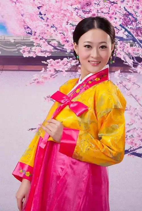 民族风绣花朝鲜族传统韩服女装大长今舞蹈合唱演出服装连衣裙