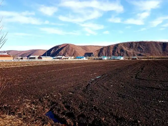 黑龙江边的黑土地