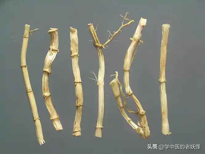 白茅根的功效与作用凉血止血清热利尿