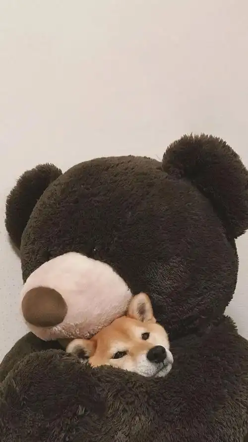 抖音精选壁纸丨全面屏壁纸