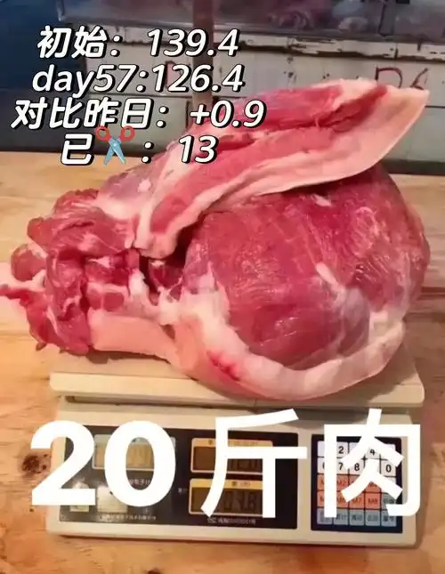减掉50斤需要多久day57