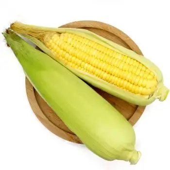 云南新鲜玉米水果 甜玉米 鲜玉米棒 爆浆玉米甜脆可生吃 16斤