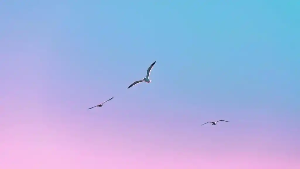 ipad壁纸高清横屏好看的电脑壁纸美图