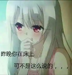 二次元少女污系表情包二次元邪恶污图二次元污表情