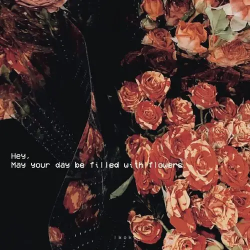 背景图壁纸|有温度的文艺清新壁纸,但行前路,来日方长