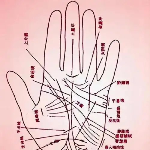 俗语"女人指头短,不缺吃和穿",是什么意思?蕴含了什么道理?