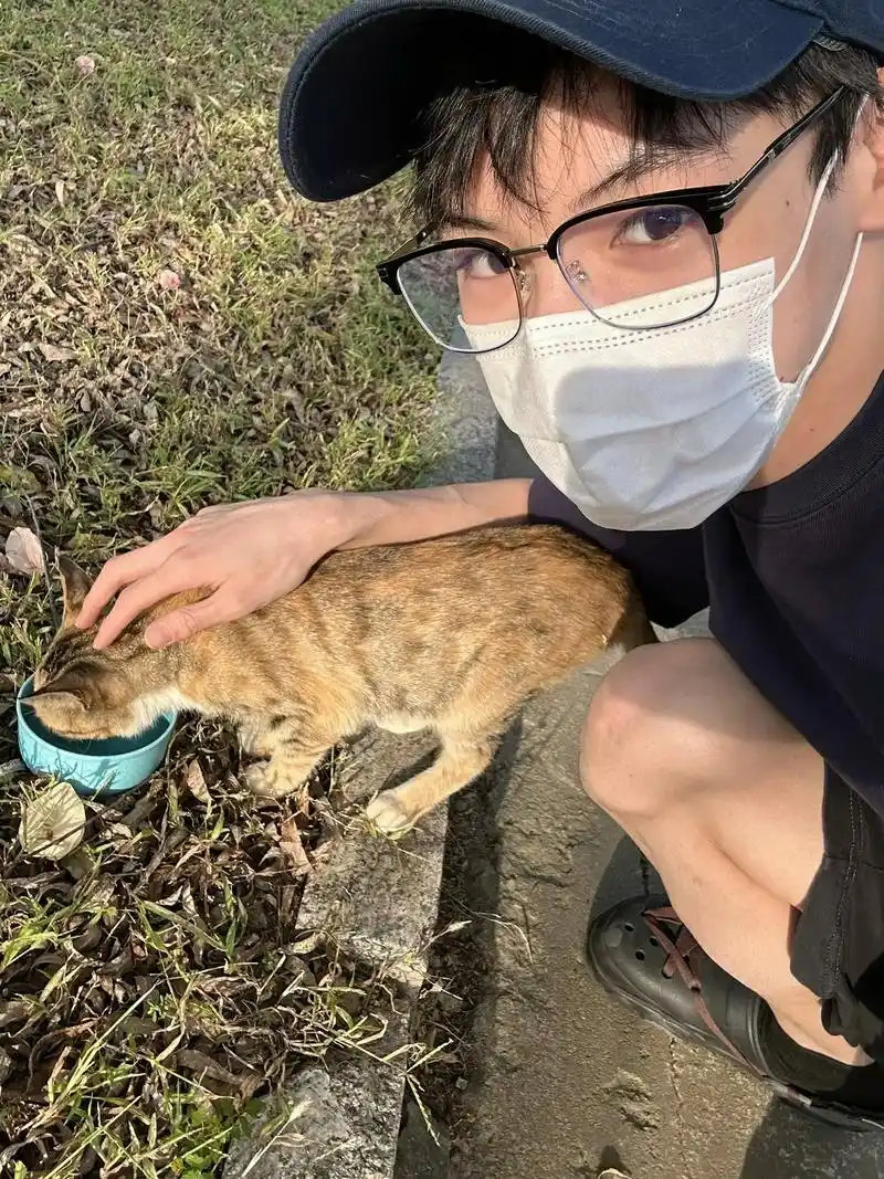 喂小野猫猫.#拍摄 #阳光明媚的一天 #开心就是幸福  太阳 - 抖音