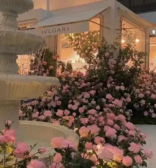 朋友圈封面背景 | 孤单的日子里_头像_微信_漂亮