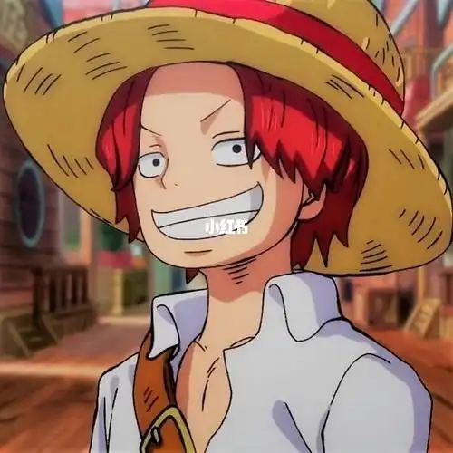 小时候红发香克斯头像