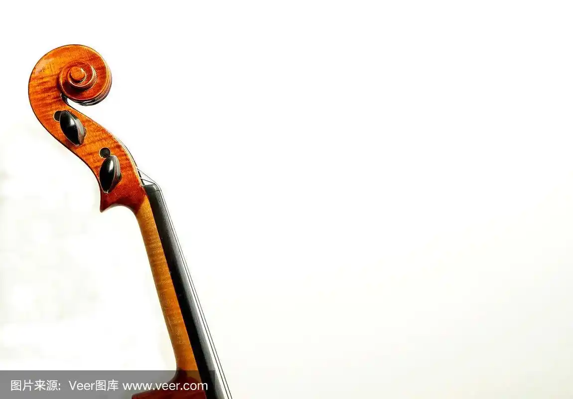 颈,留白,小提琴,垂直画幅,侧面视角
