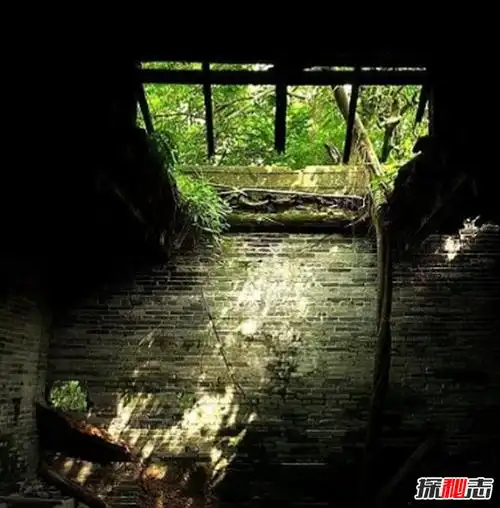 中国最恐怖的无人村广东开平无人村荒废20年拍