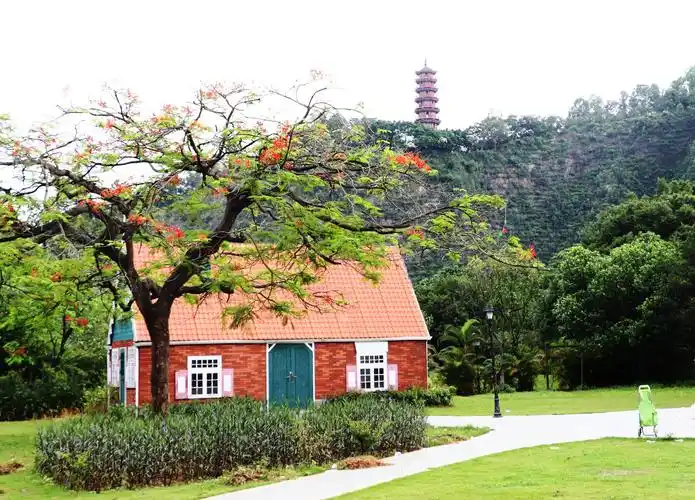 广州南沙蒲洲花园摄影采风记