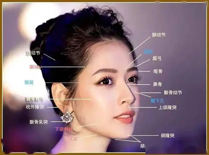 颜面美学中的三庭五眼_容貌_面部_五官