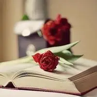 淡雅书香头像图片好看唯美的书籍唯美意境高清图片头像